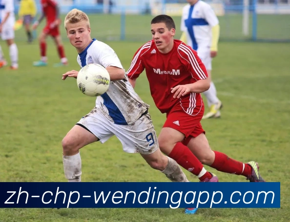 火箭队历年季后赛战绩统计与晋级情况一览